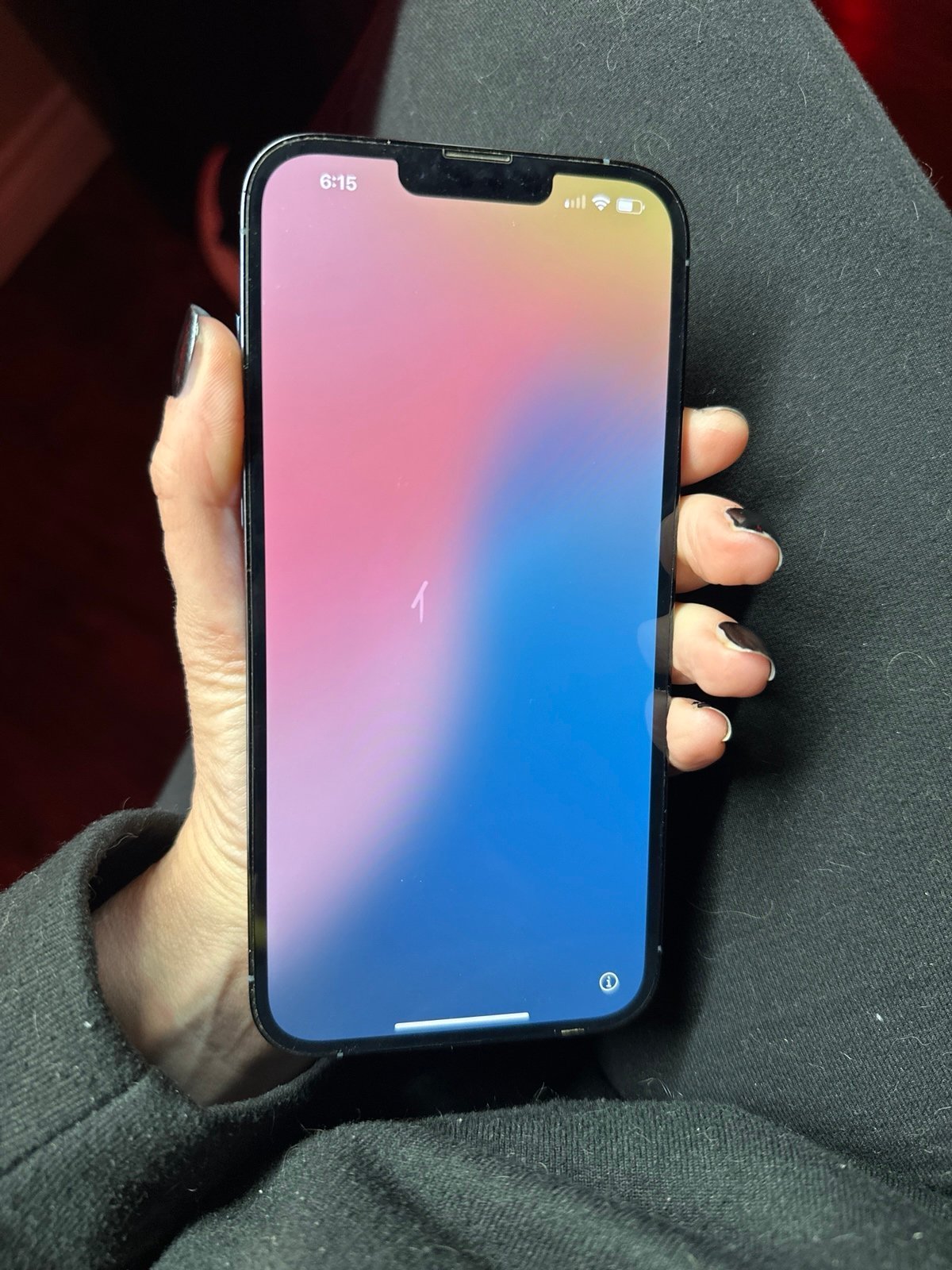 iPhone 13 Pro Max 256GB Unlocked Blue Smart Phone Apple new battery 9G35