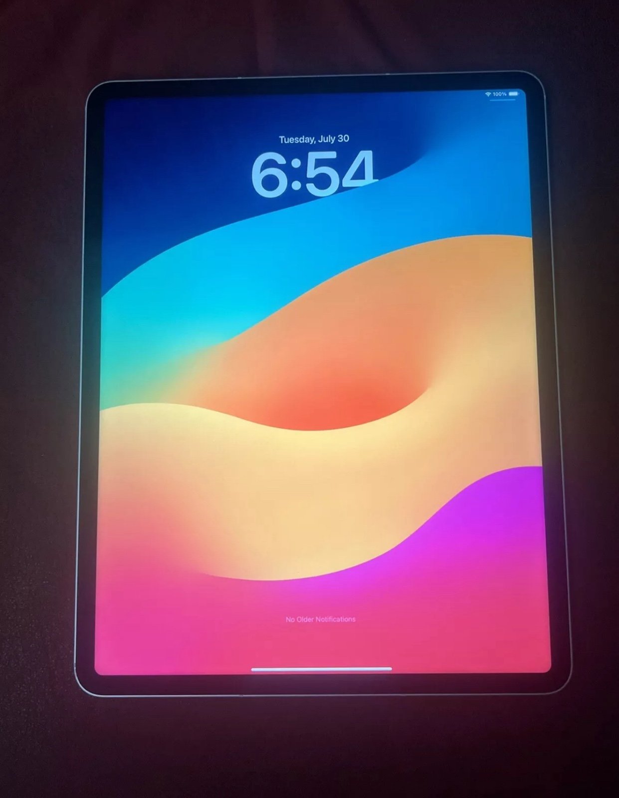 Apple iPad Pro 12.9-inch (5th Gen.) 256GB Silver WiFi + Cellular Clean Condition 6Z83