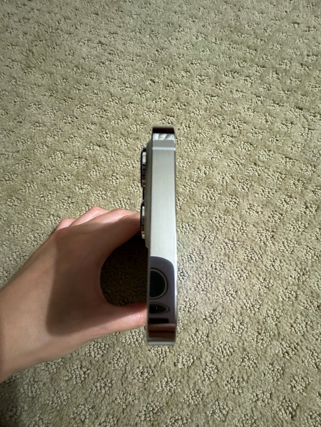 iPhone 13 Pro 256 GB Unlocked Silver 1Z85