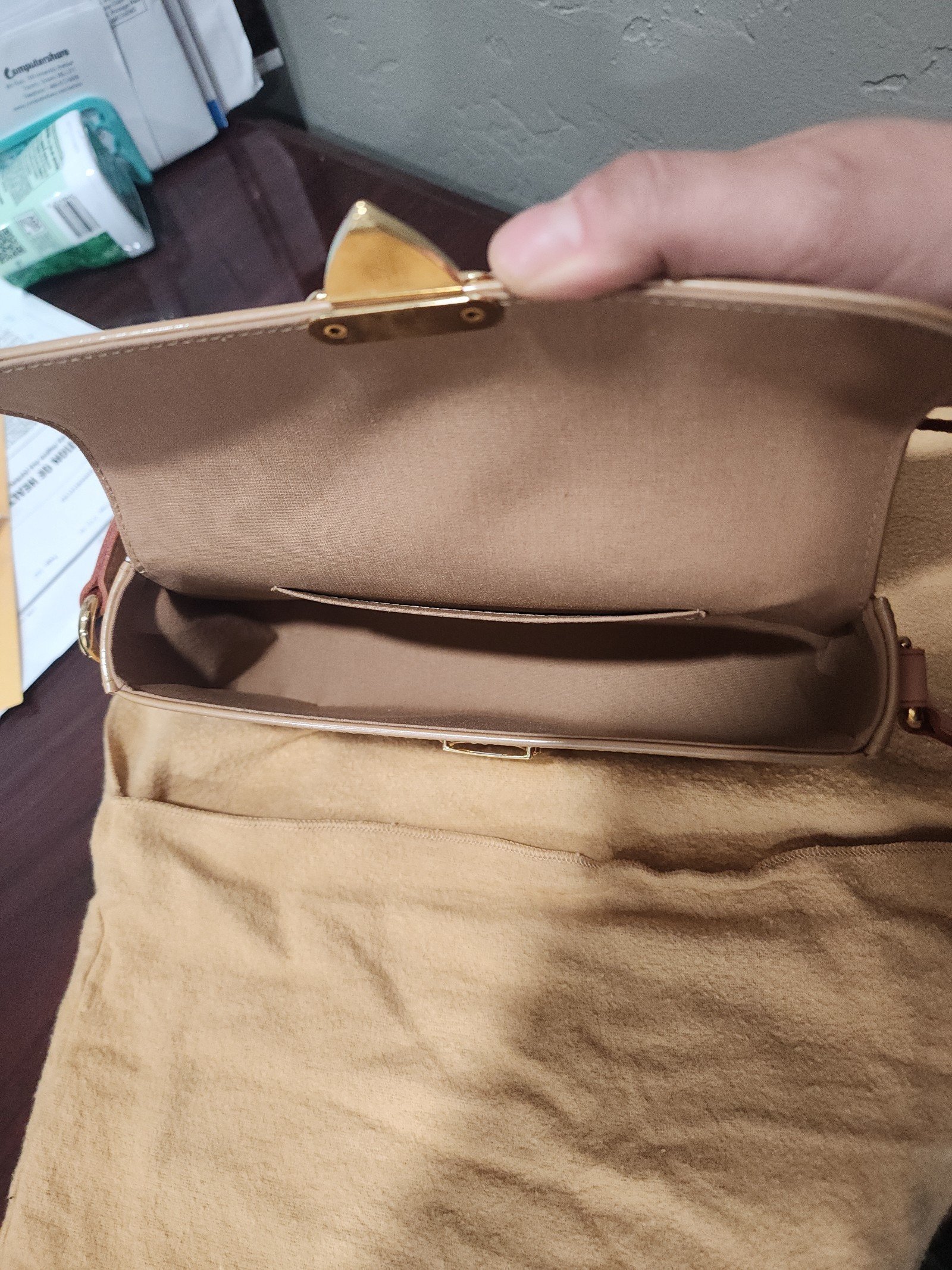 Louis Vuitton Vermis Malibu pochette