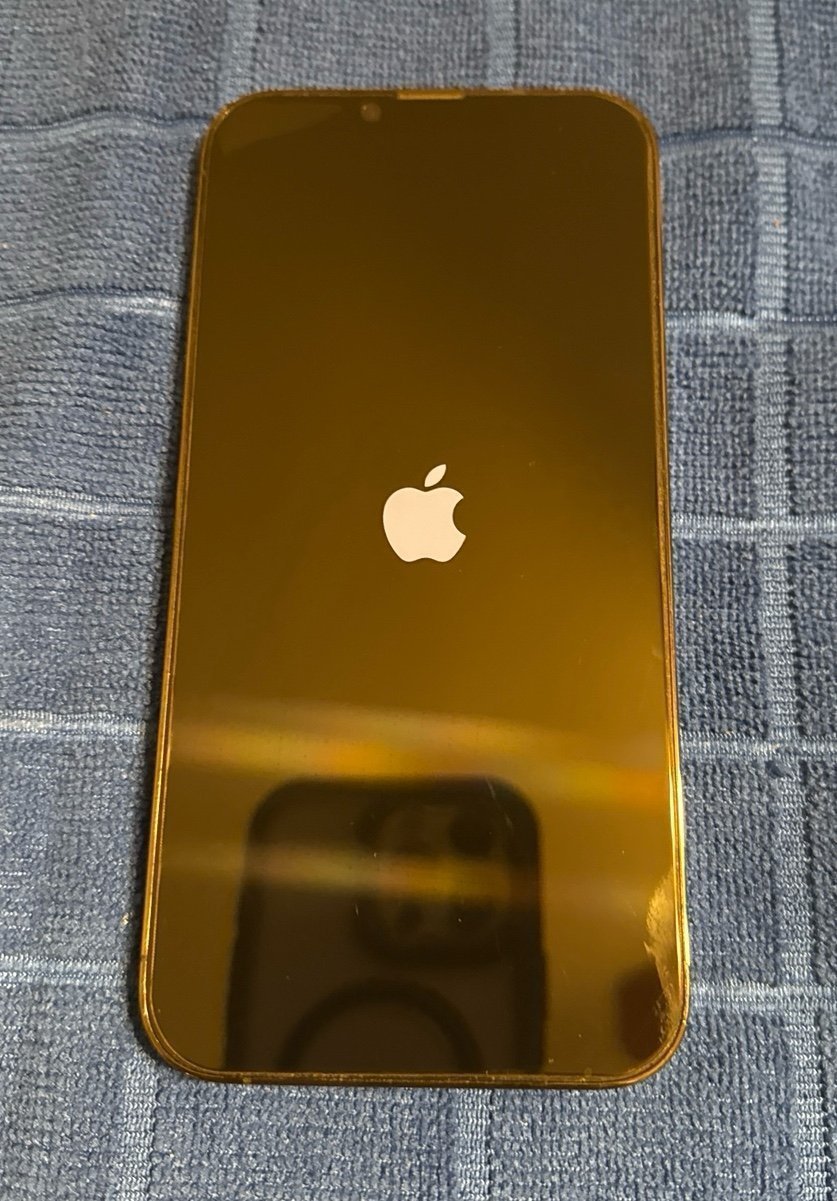 iPhone 13 Pro Max 256GB 7F78