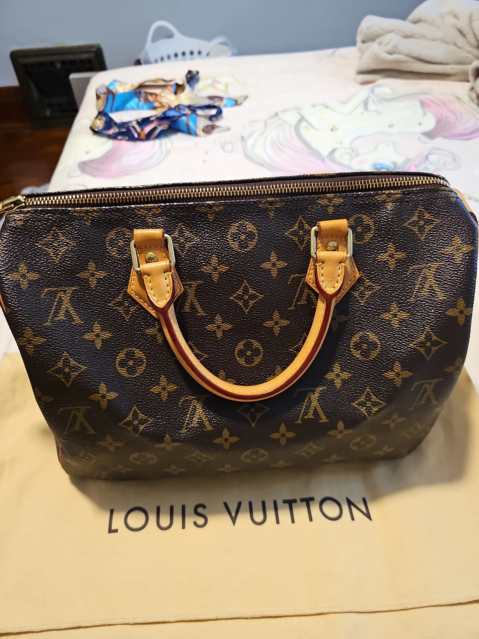 Louis Vuitton LV speedy 30 in Mono 2017