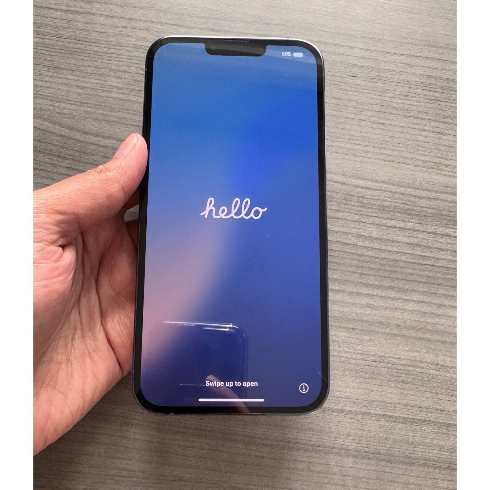 iPhone 13 Pro Max Unlocked 256gb 1R15