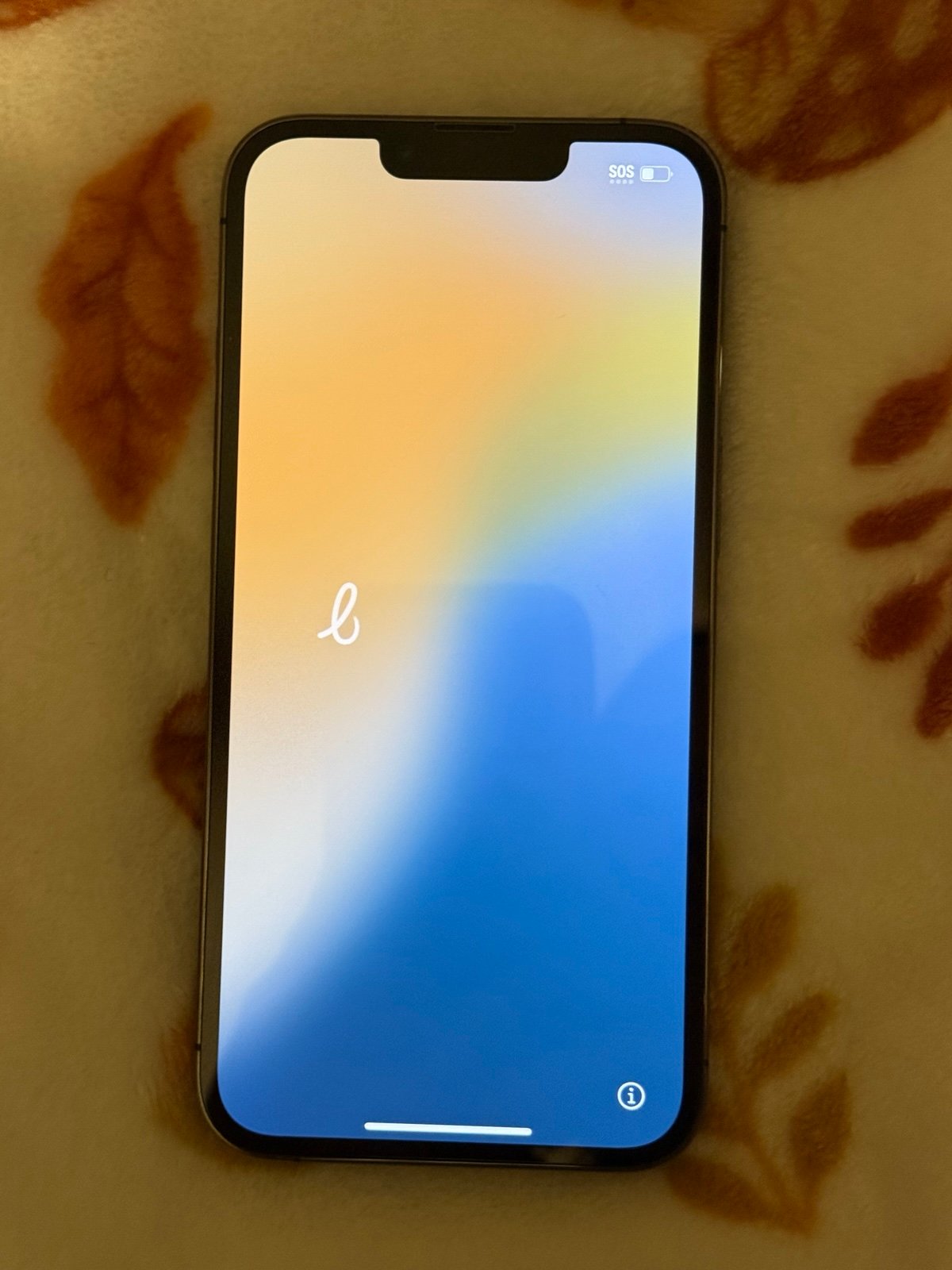 iphone 13 pro unlocked  ON HOLD 2L87