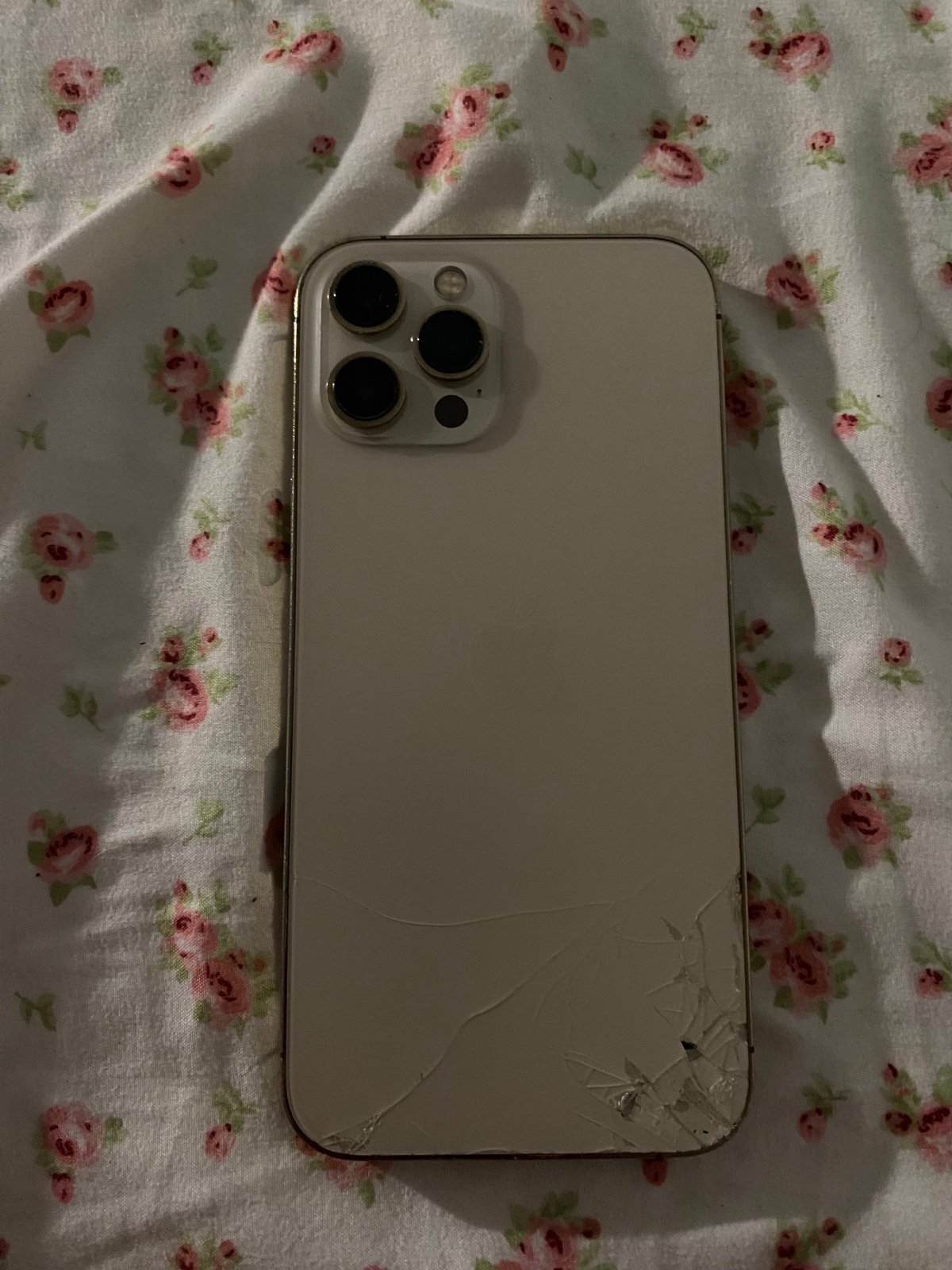 Apple iPhone 12 Pro Max 128 GB Unlocked Gold 5W98