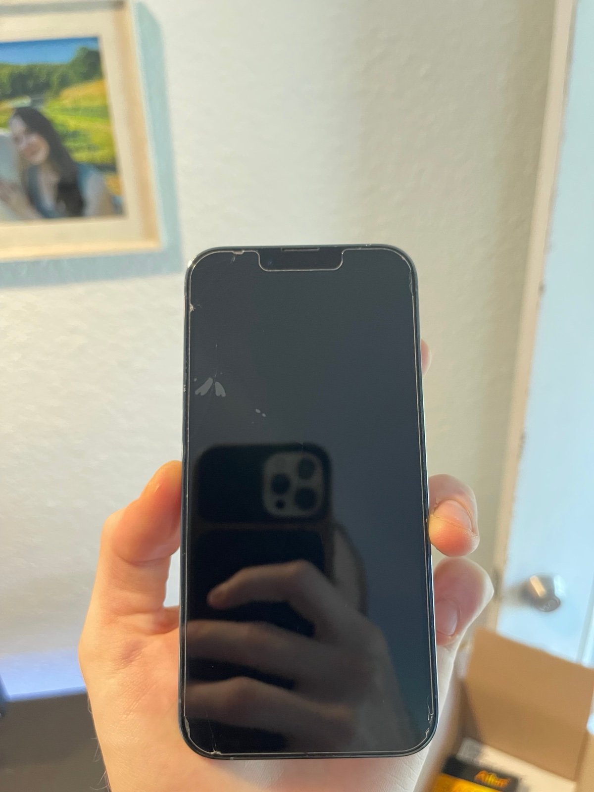 LIGHT BLUE IPHONE 13 PRO 256GB UNLOCKED 2U79