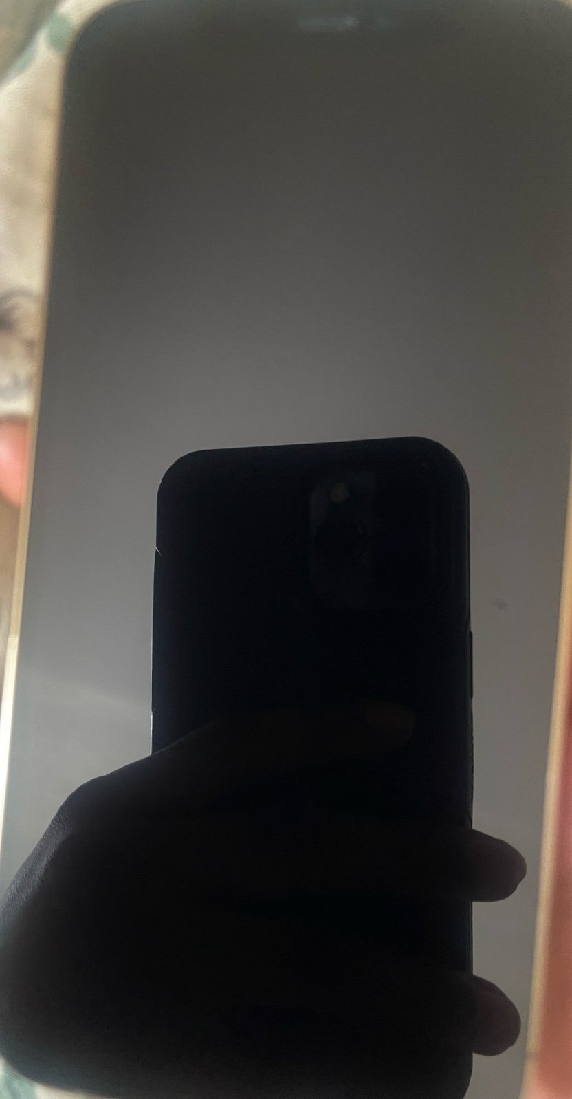 iPhone 12 Pro unlock 128gb 8P75