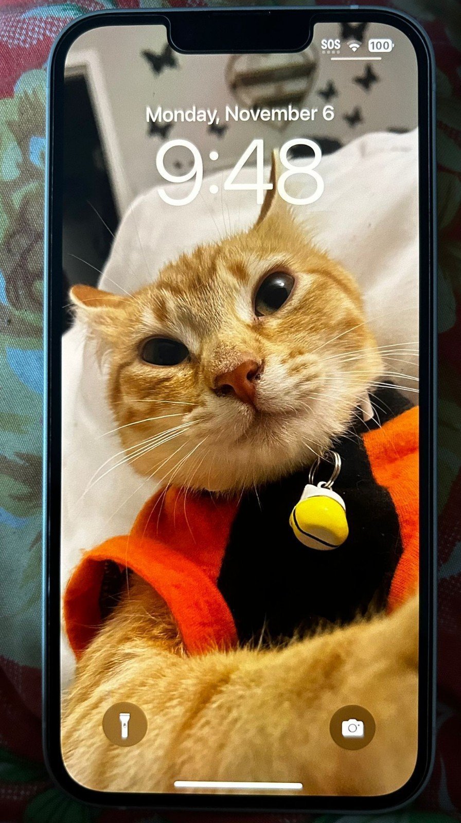 Apple iPhone 14 128 GB in Starlight Unlocked 5R21