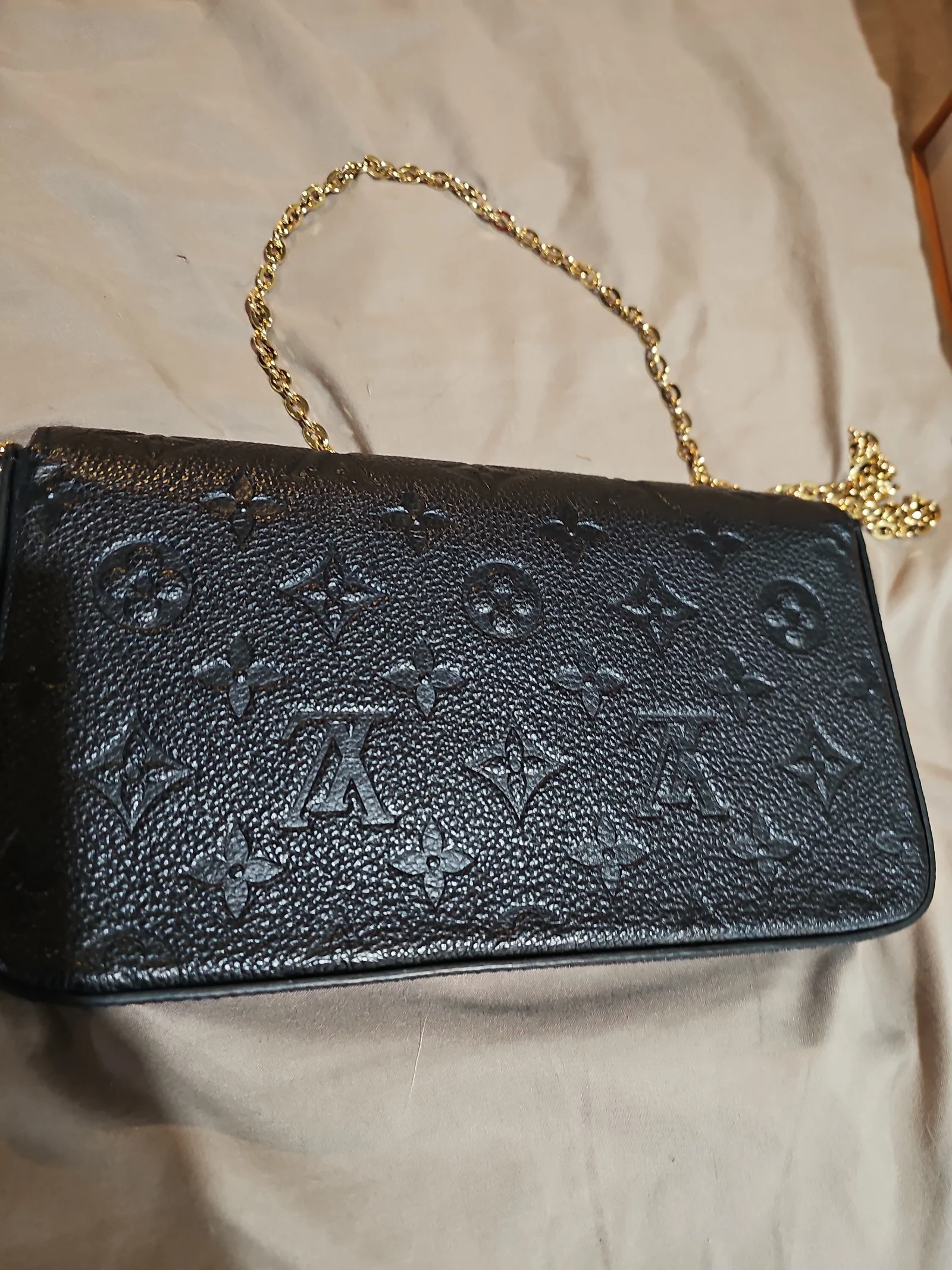Louis Vuitton Felicie Pochette