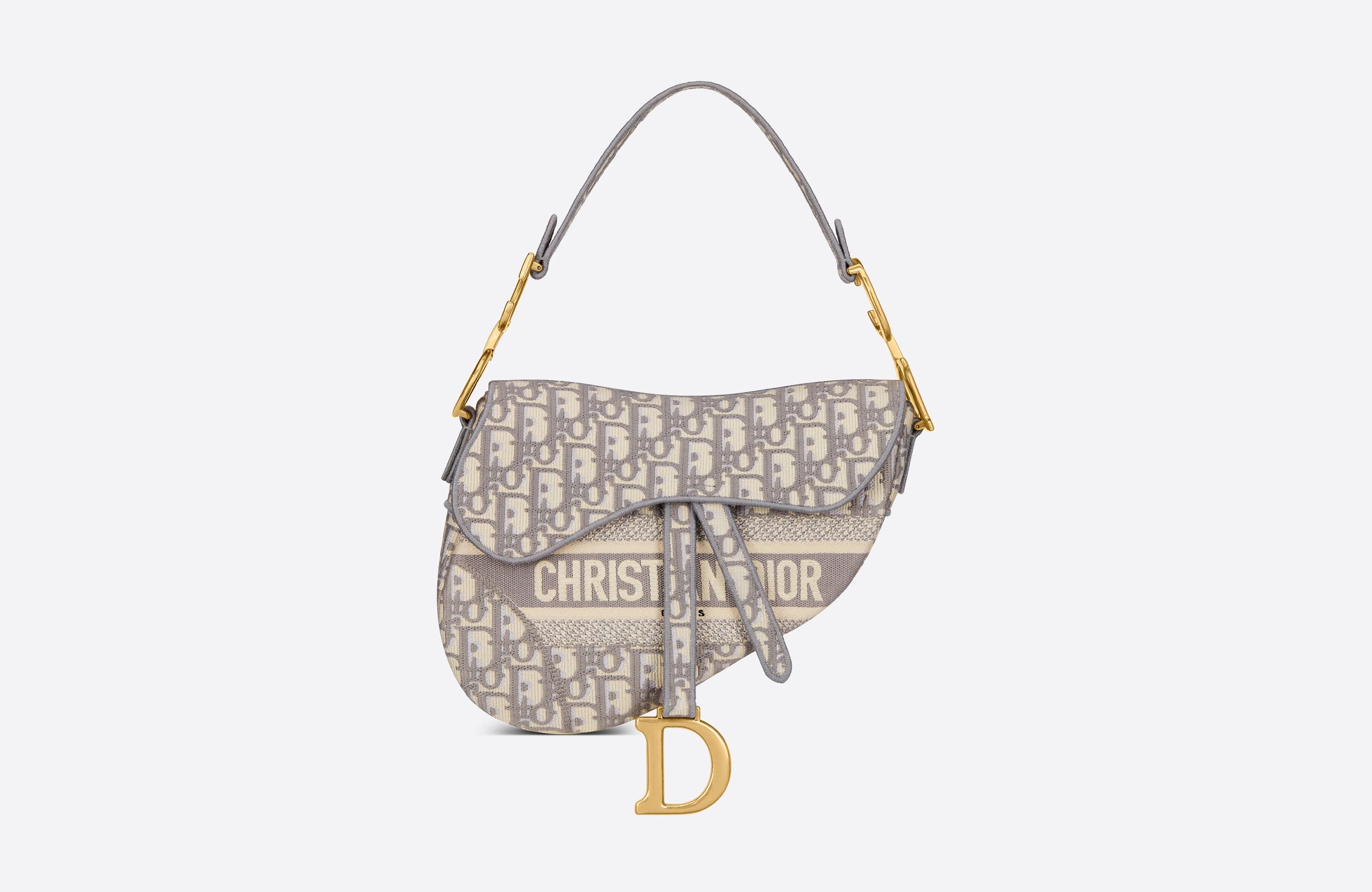 Saddle Bag Gray Dior Oblique Embroidery