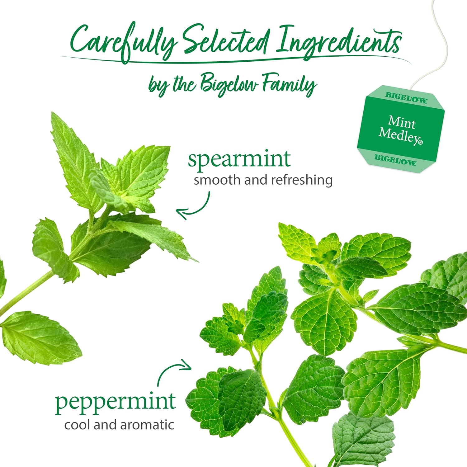 Bigelow Tea Lemon Ginger plus Probiotics Herbal Tea, Caffeine Free Tea with Lemon and Ginger, 18 Count Box (Pack of 6), 108 Total Tea Bags