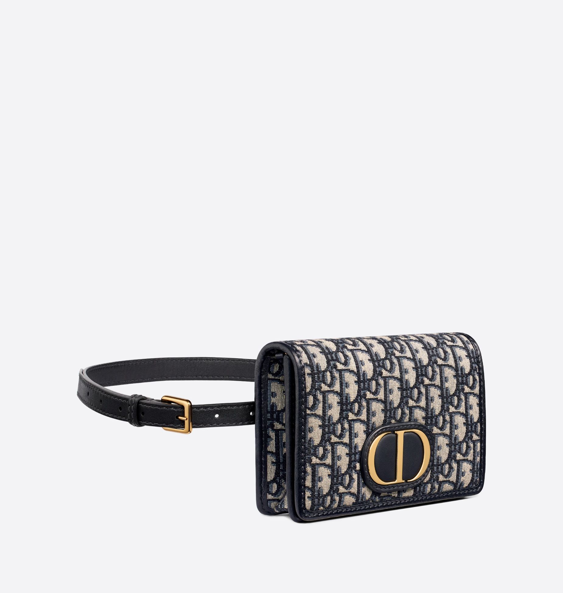 2-in-1 30 Montaigne Pouch Blue Dior Oblique Jacquard