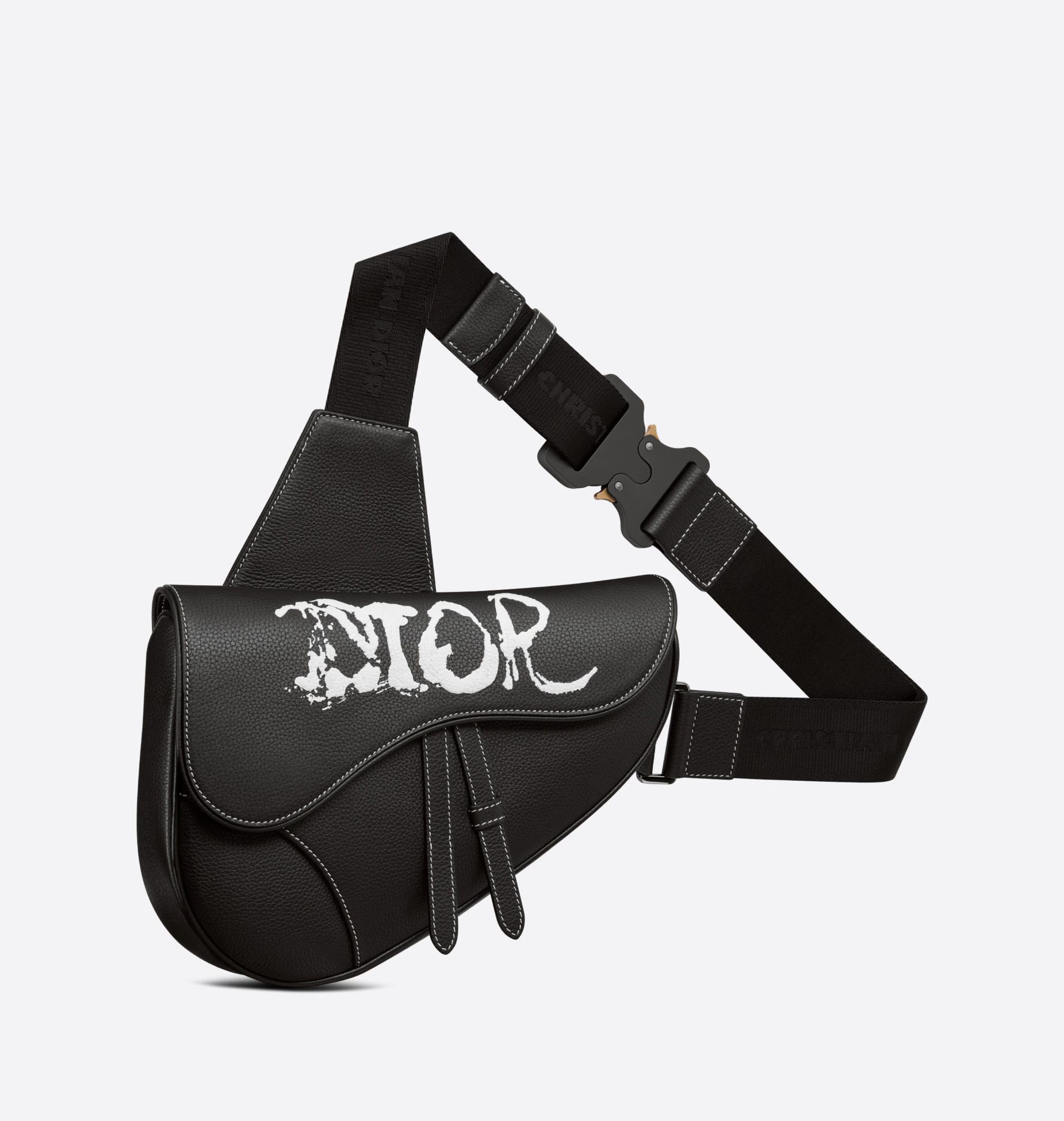 DIOR AND PETER DOIG Saddle Bag Black Grained Calfskin