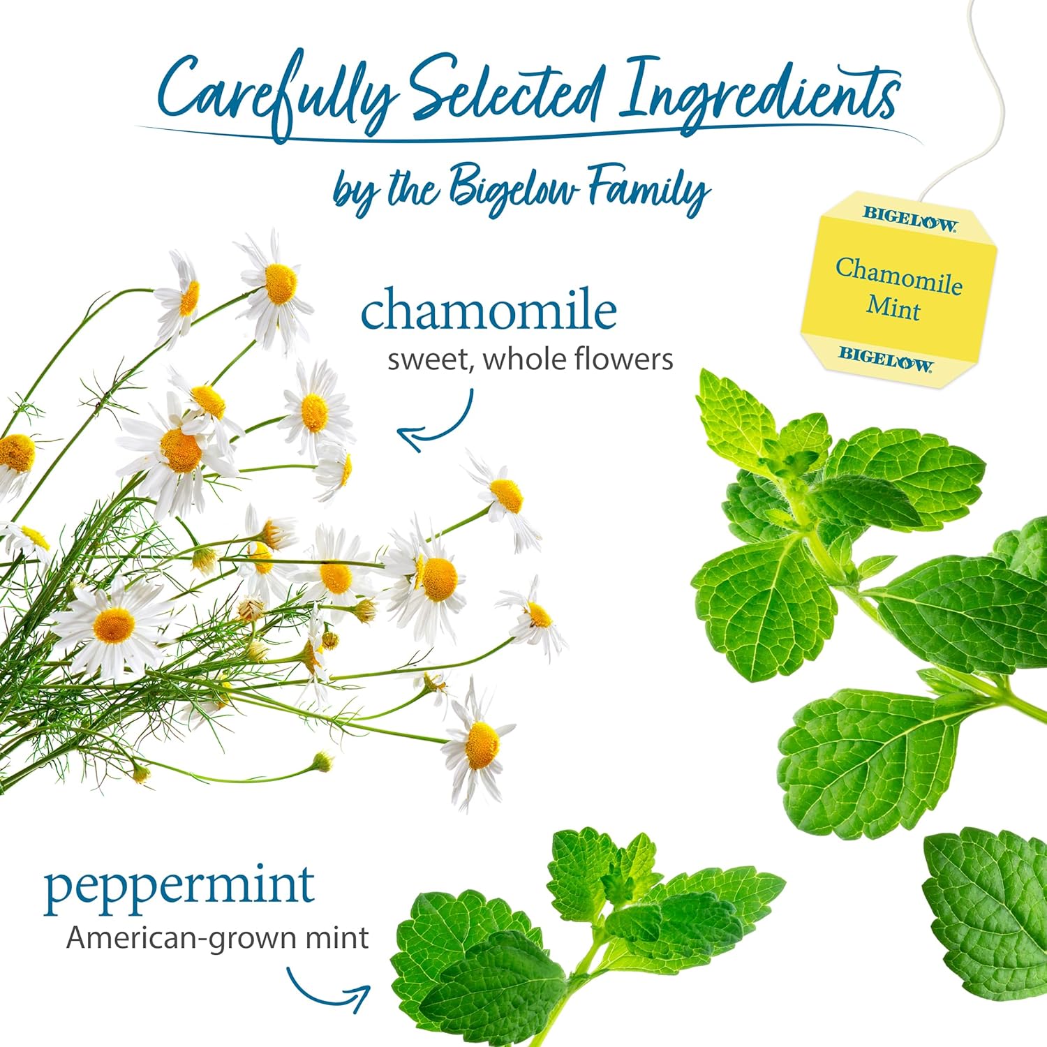 Bigelow Tea Lemon Ginger plus Probiotics Herbal Tea, Caffeine Free Tea with Lemon and Ginger, 18 Count Box (Pack of 6), 108 Total Tea Bags