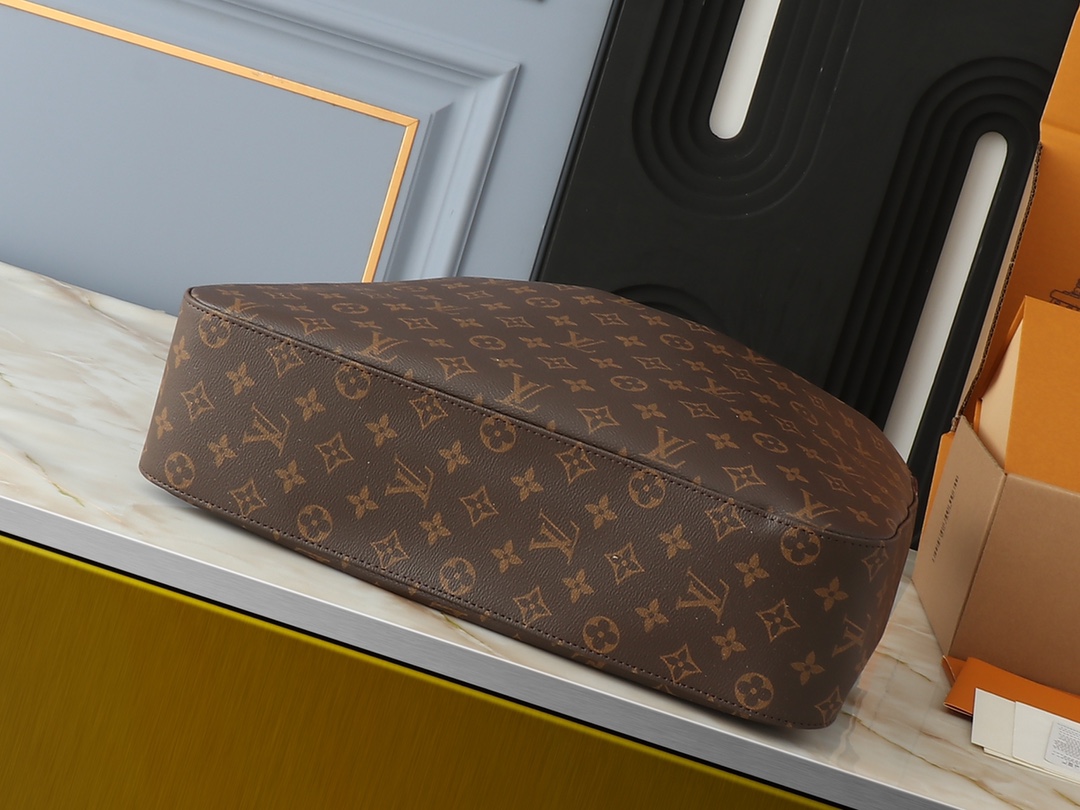 Louis Vuitton M12098 Slouchy Women Shoulder Bags 2-Size