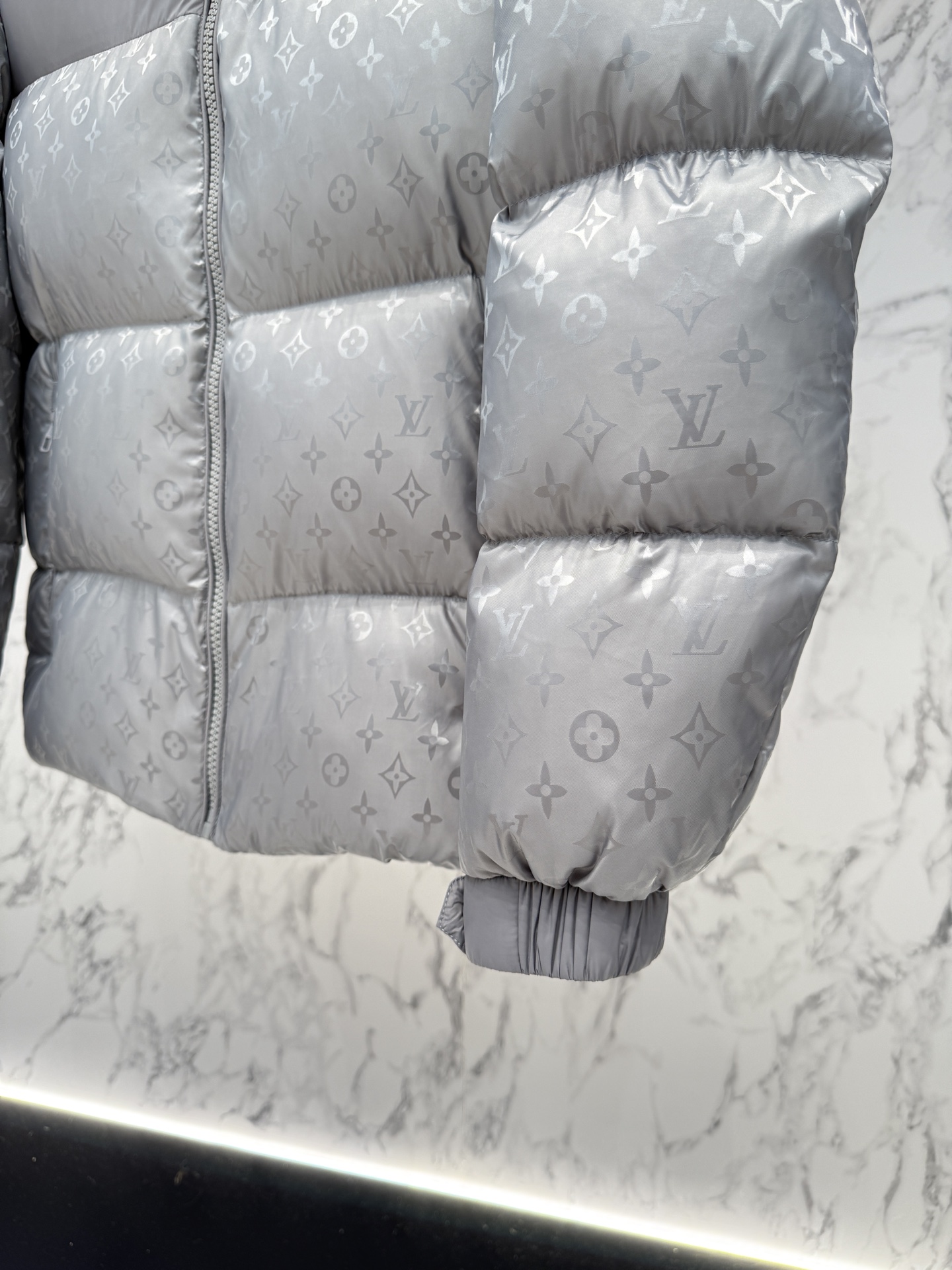 Louis Vuitton 25ss Unisex Winter Jacket Size 48-56