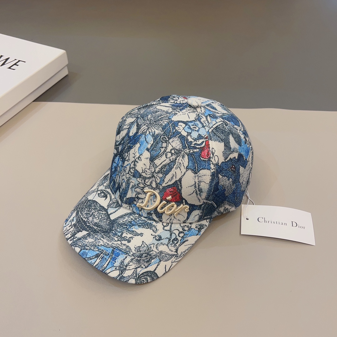 Dior Baseball Cap 2-Color