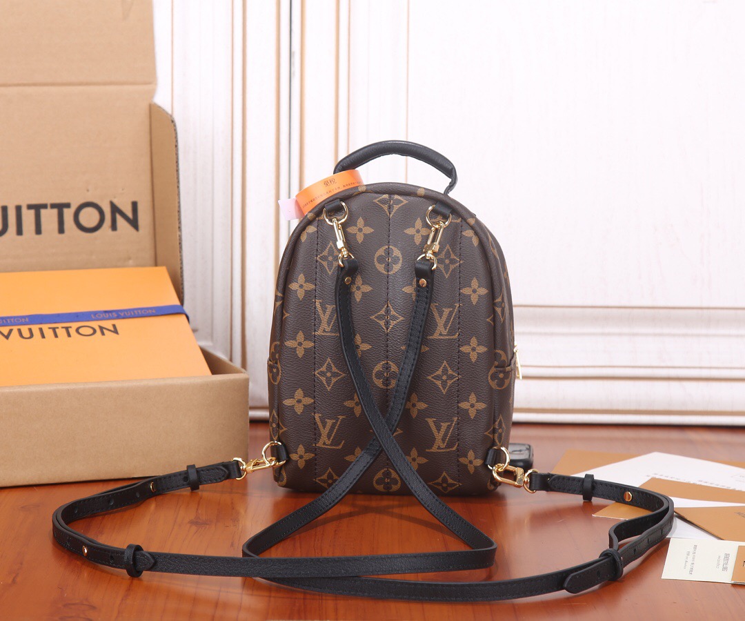 Louis Vuitton Nicolas Ghesquiere Palm Springs Mini Backpack Bags 17*22*10cm