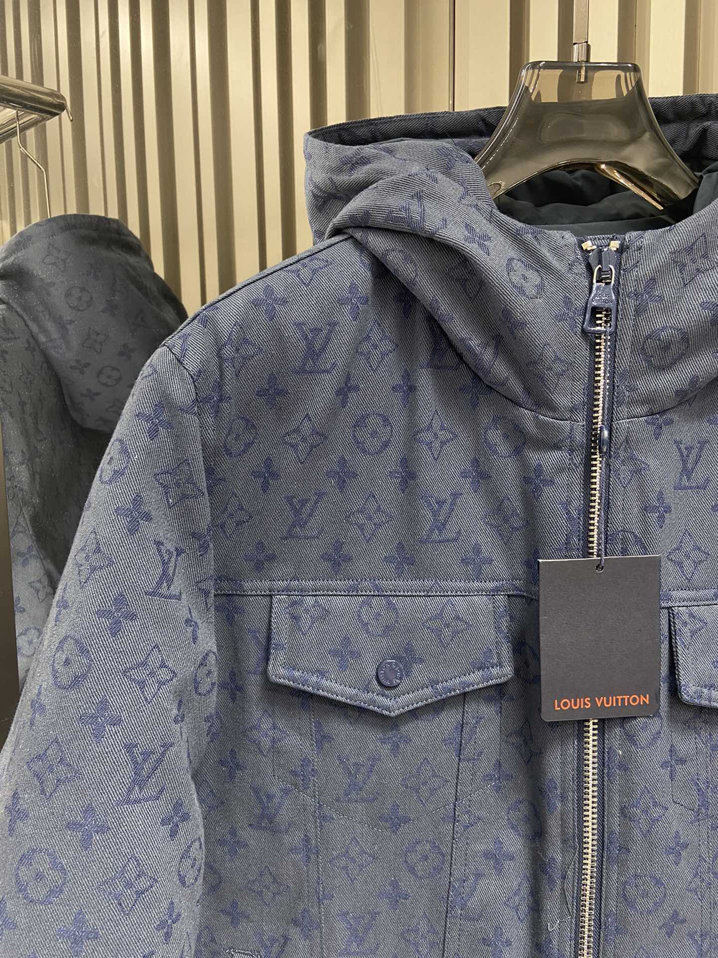 Louis Vuitton Unisex Down Jacket Size S-XL