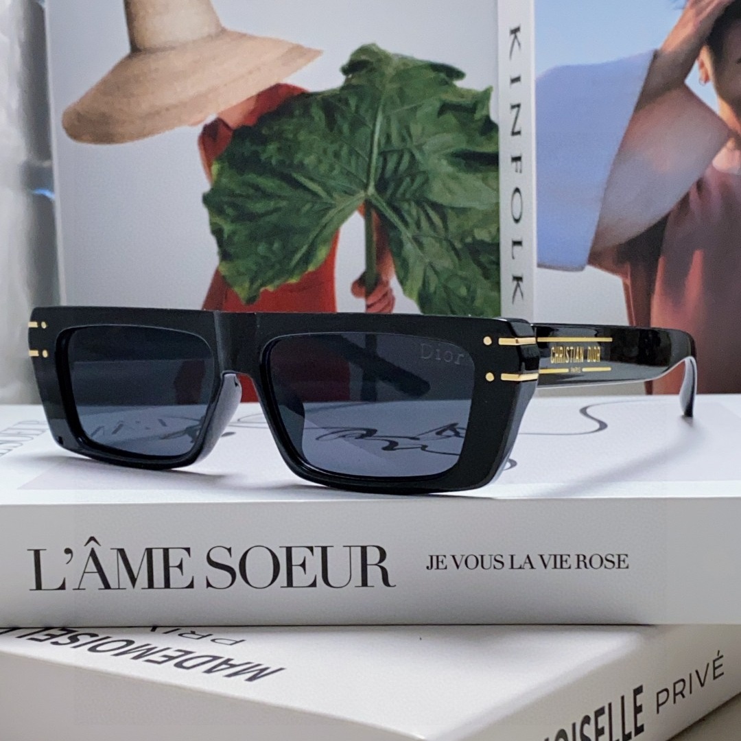 Dior Sunglasses 2-Color