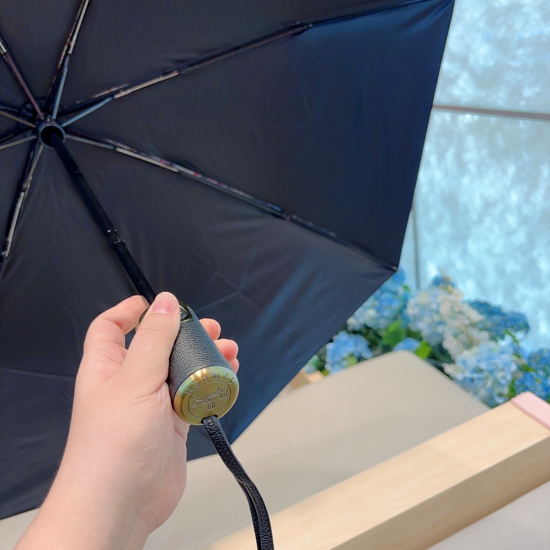 Hermes Umbrella