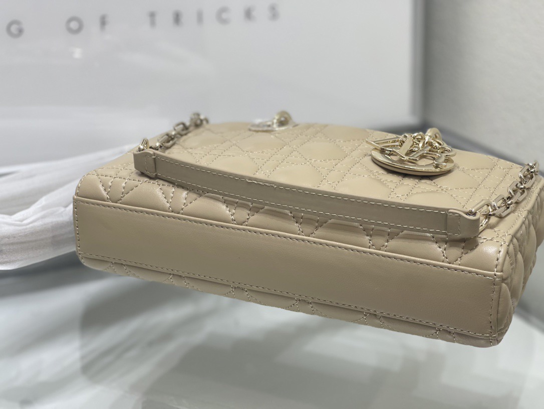 Dior Lady D-Joy Women Shoulder Bags 26*6*14cm