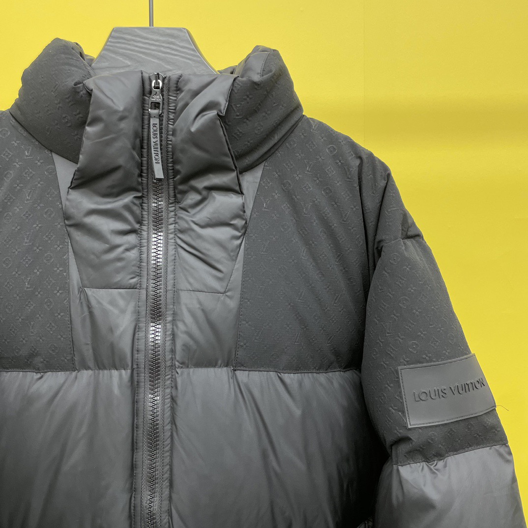 Louis Vuitton Unisex Down Jacket Size S-XL