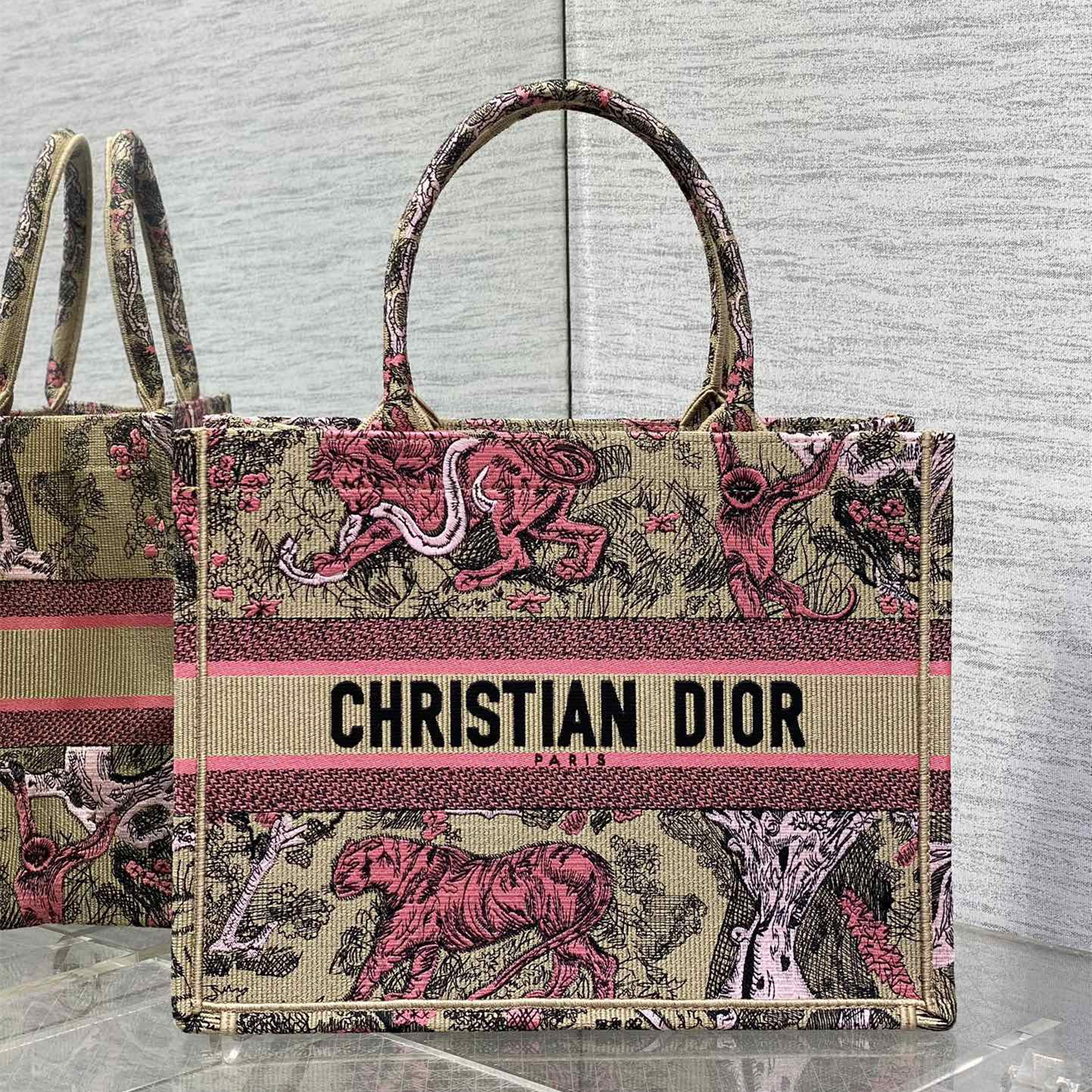 Dior Book Tote Handbags 2-Size