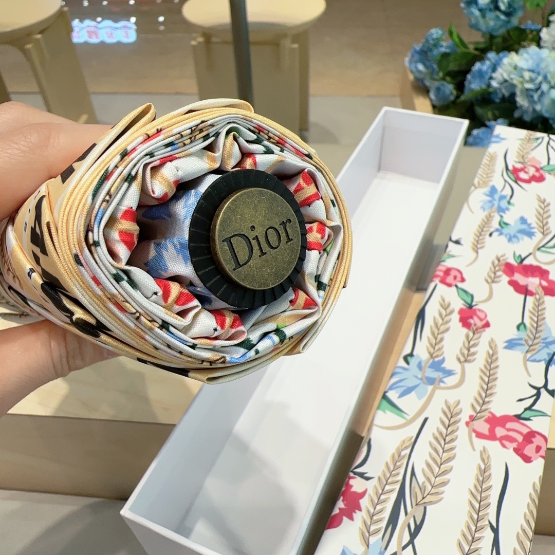 Dior Umbrella