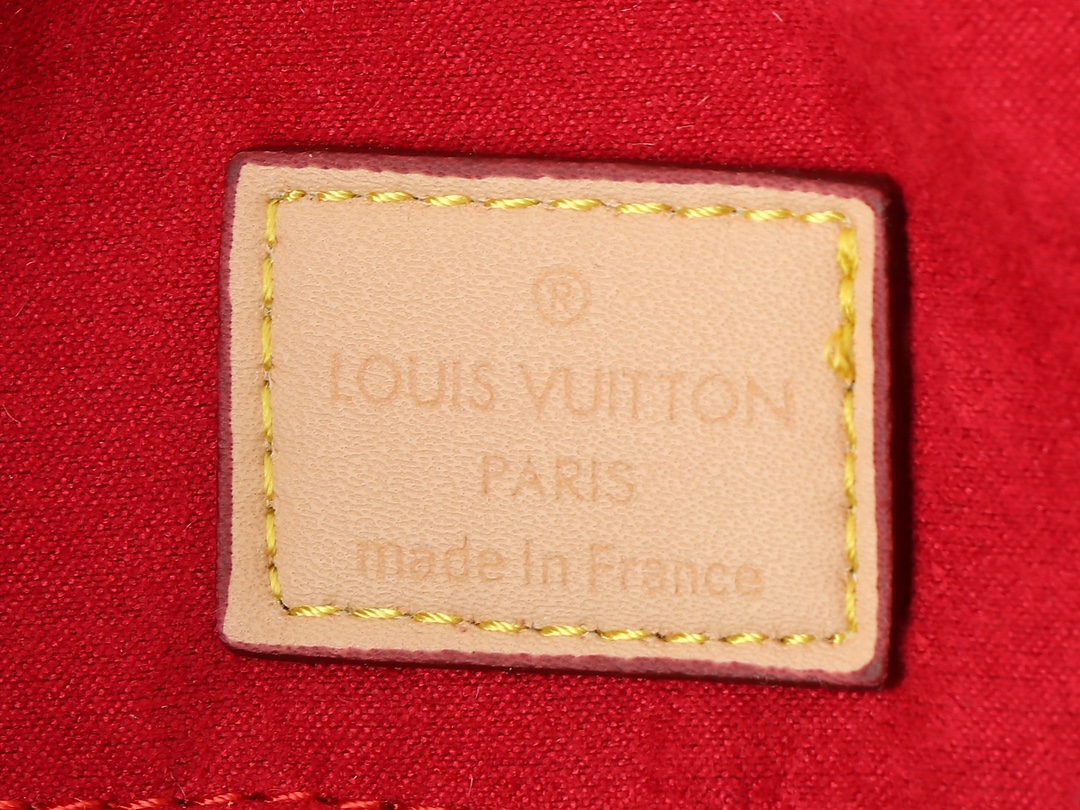 Louis Vuitton M12098 Slouchy Women Shoulder Bags 2-Size