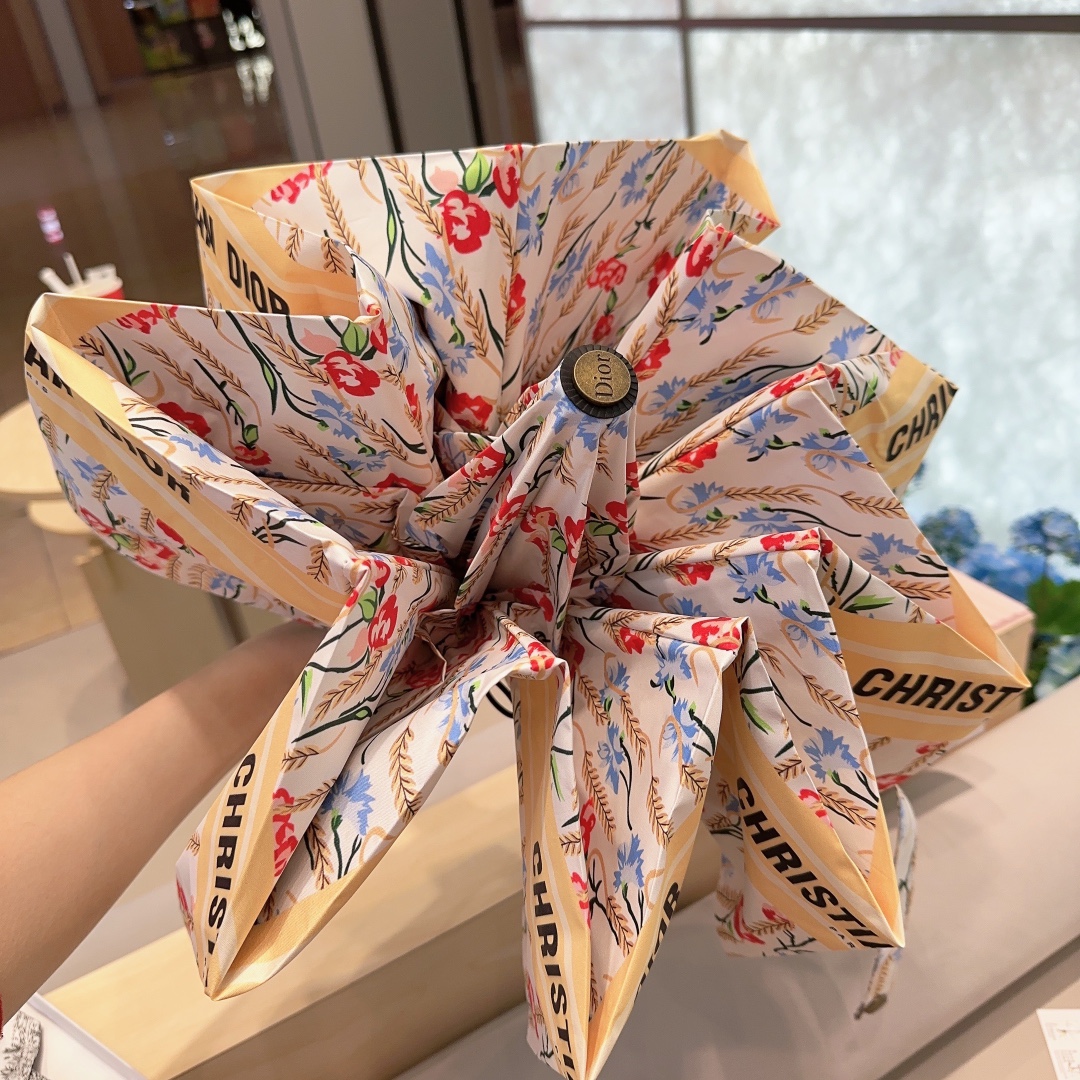 Dior Umbrella