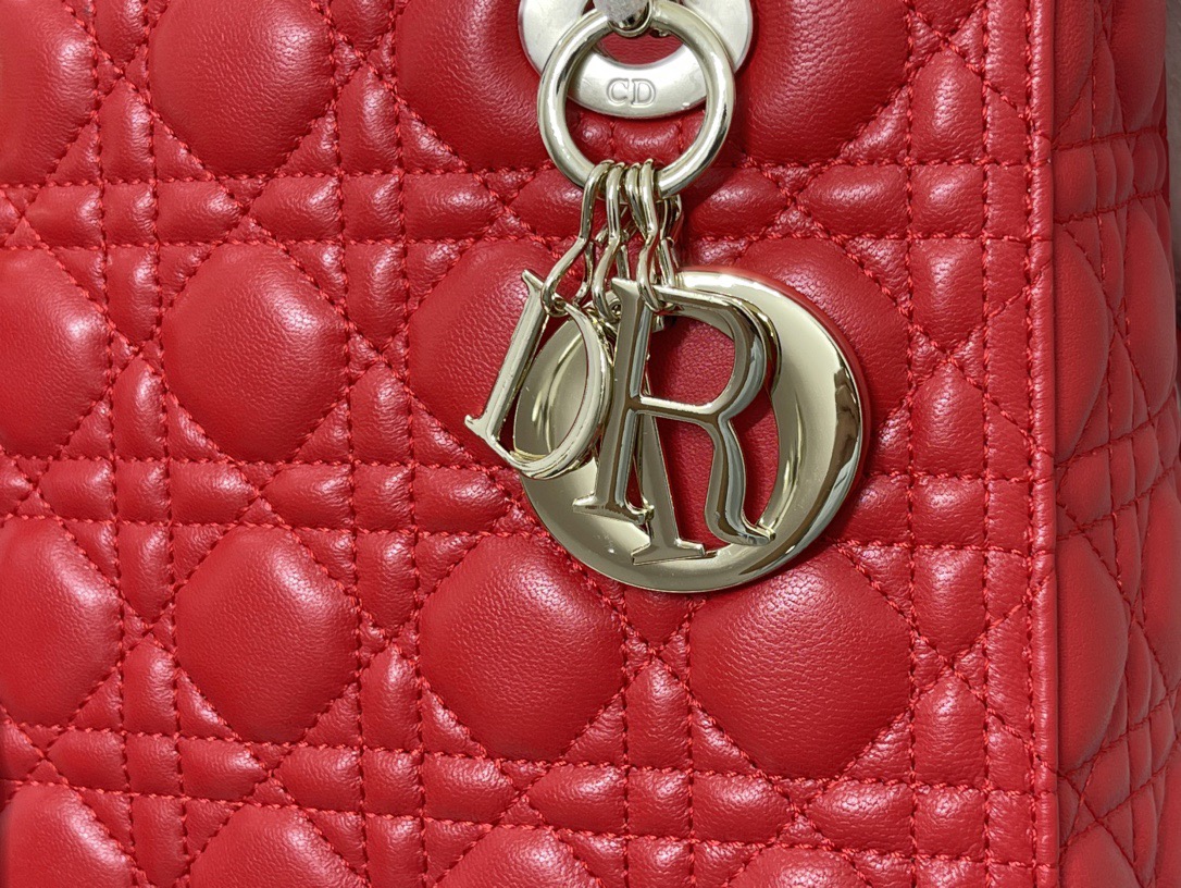 Dior Lady Women Shoulder Bags 24*20*11cm