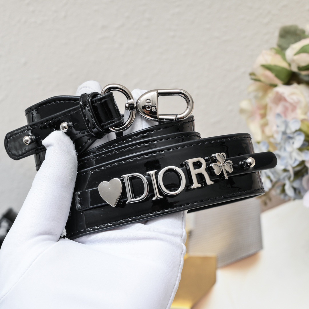 Dior Lady Classic Women Shoulder Bags 20cm