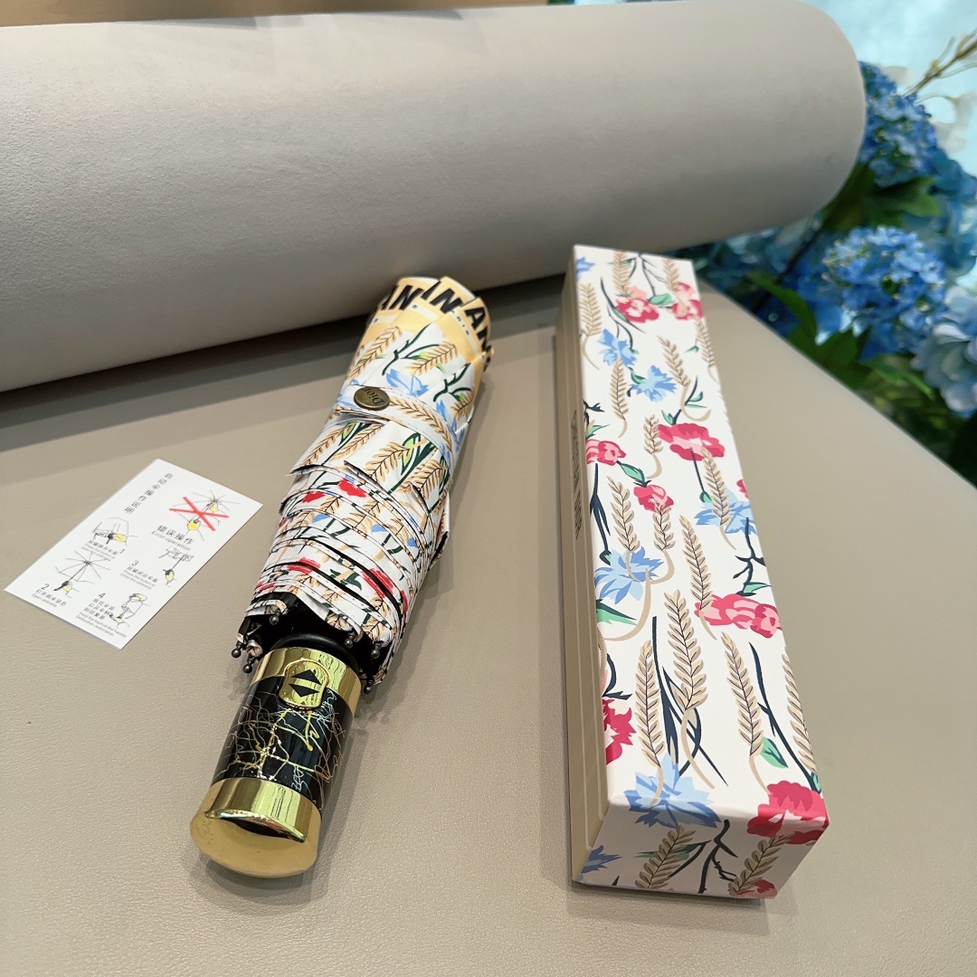 Dior Umbrella