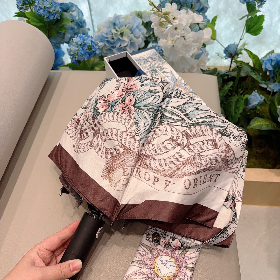 Dior Umbrella