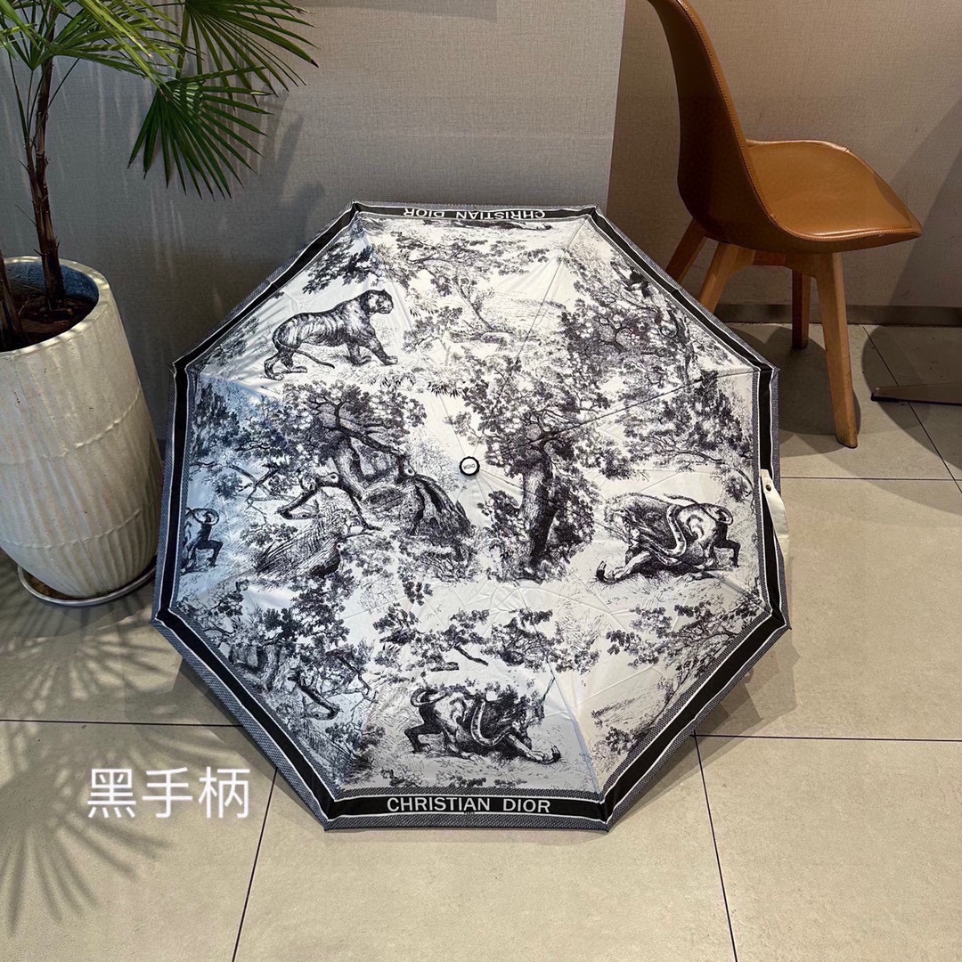 Dior Umbrella