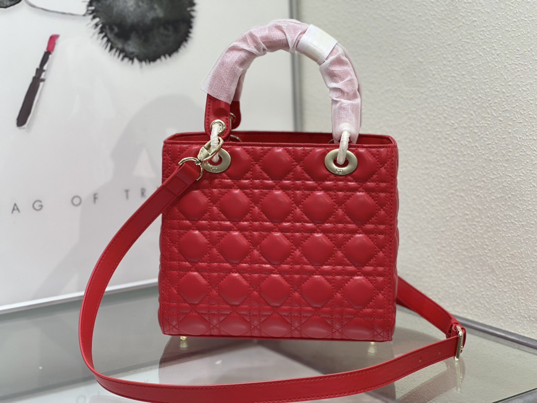 Dior Lady Women Shoulder Bags 24*20*11cm