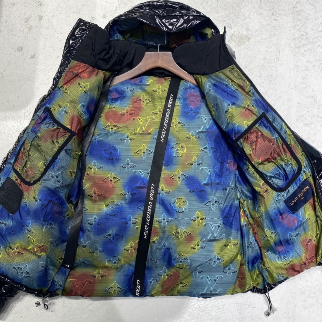 Louis Vuitton Unisex Down Jacket Size S-XL