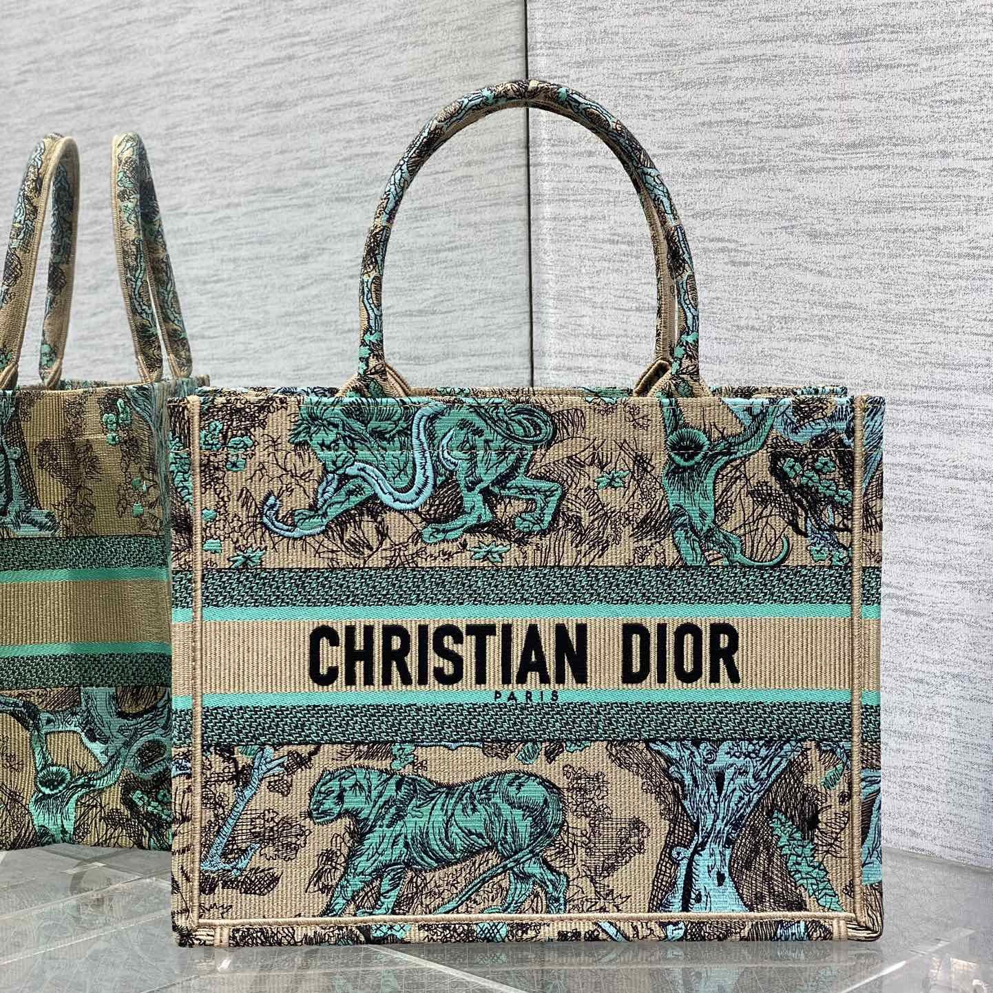 Dior Book Tote Handbags 2-Size