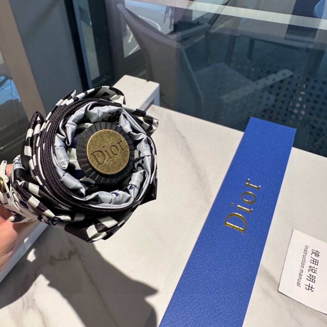 Dior Umbrella