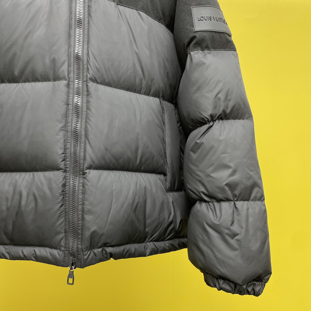 Louis Vuitton Unisex Down Jacket Size S-XL