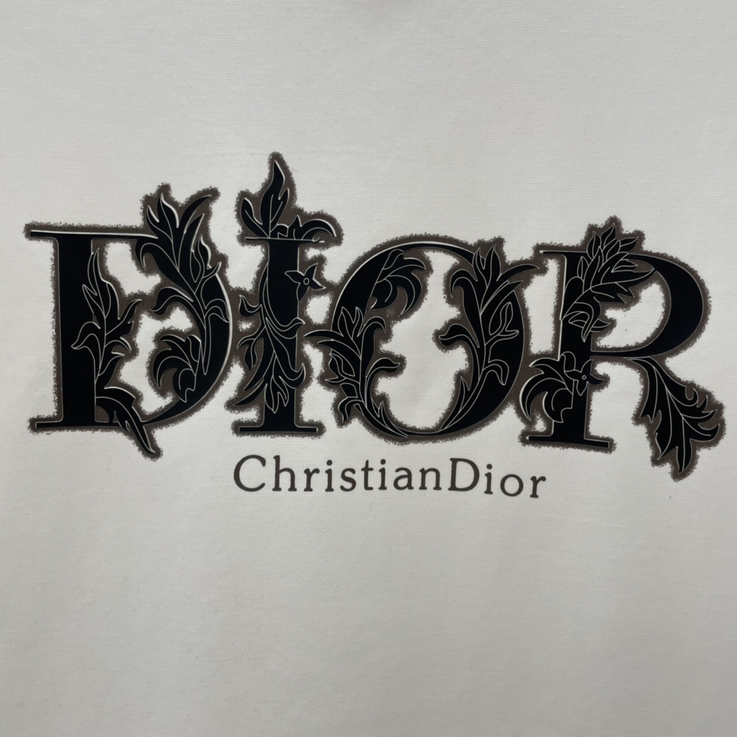 Dior 25ss Men T Shirt S-XXL