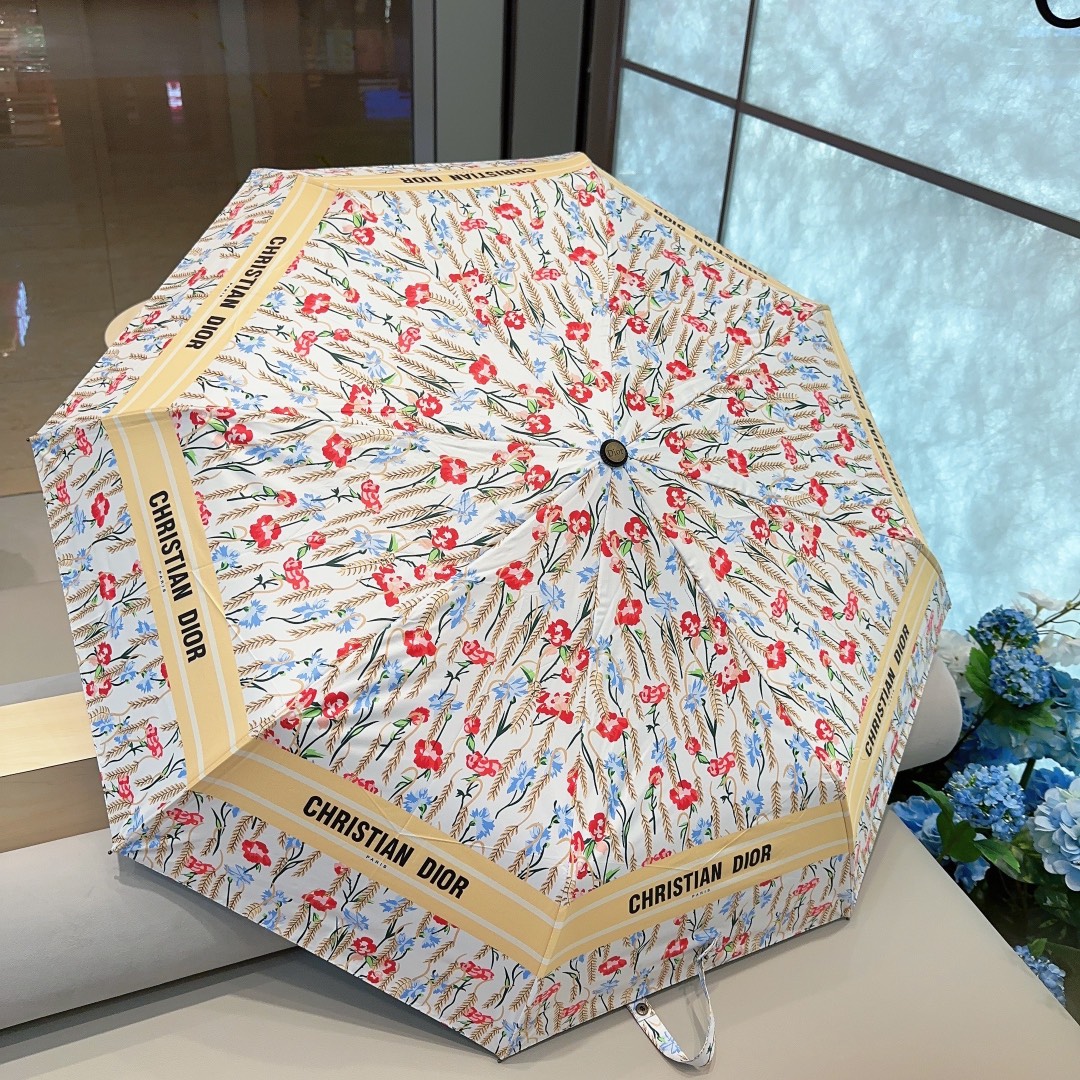Dior Umbrella