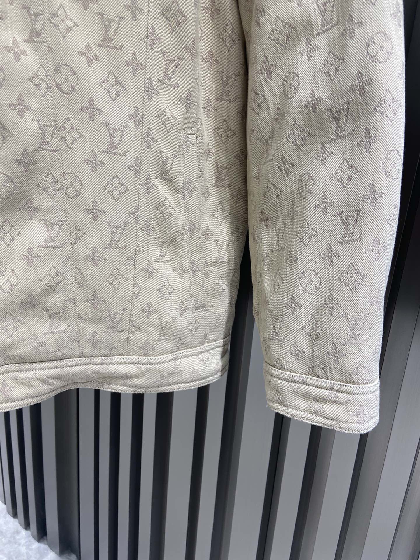 Louis Vuitton Unisex Down Jacket Size S-XL