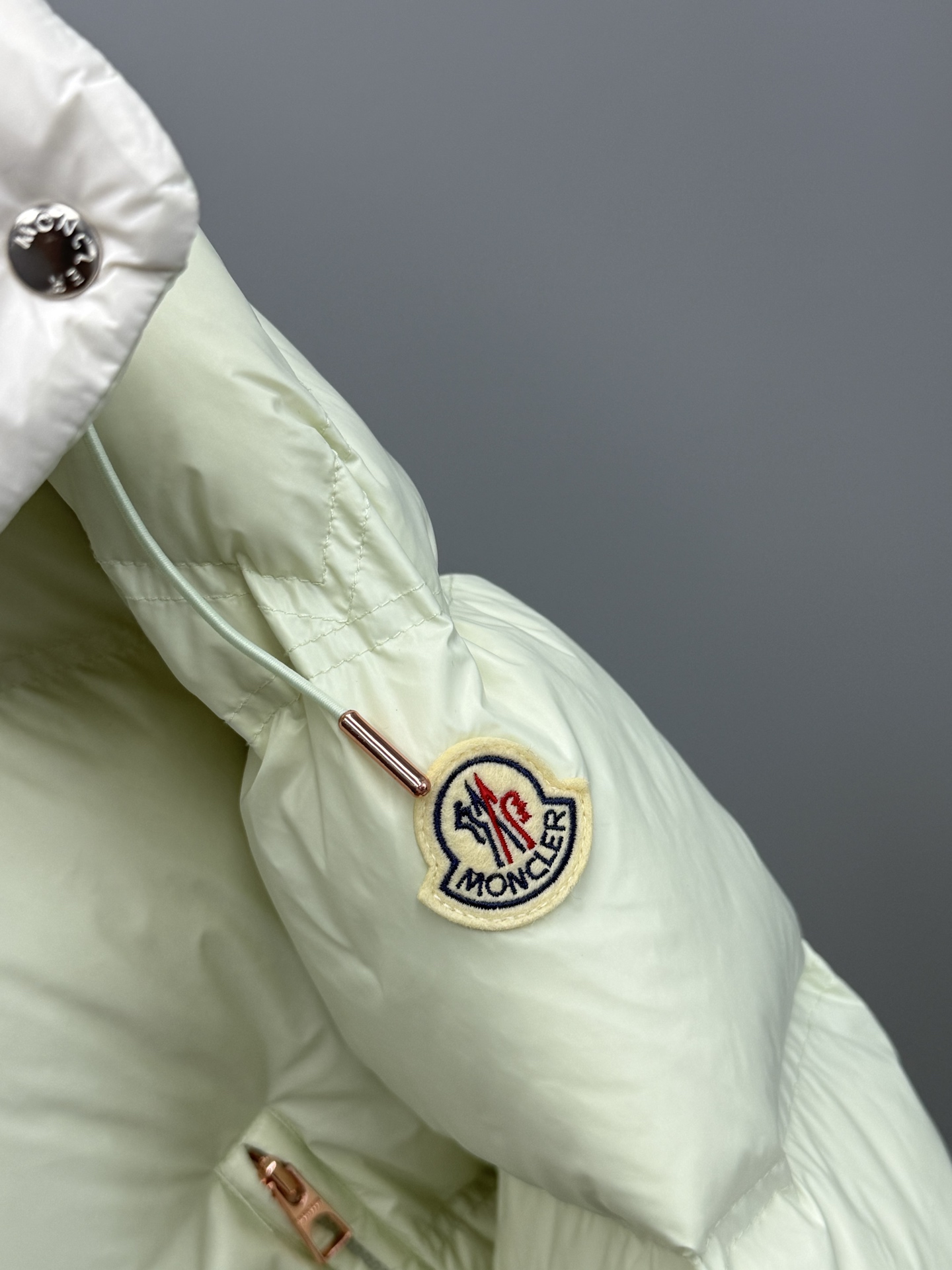 Moncler 25ss Erea Women Down Jacket Size S-L