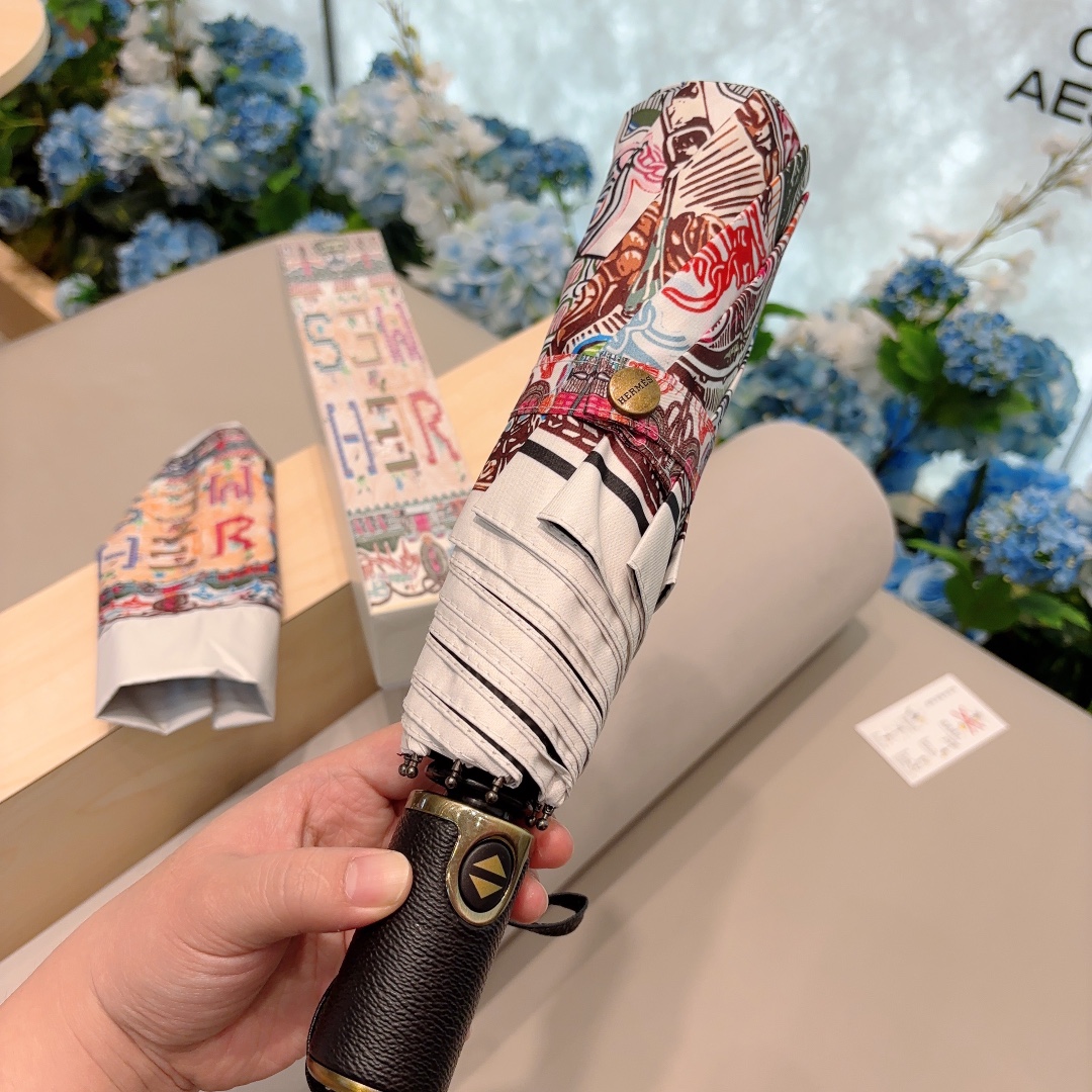 Hermes Umbrella
