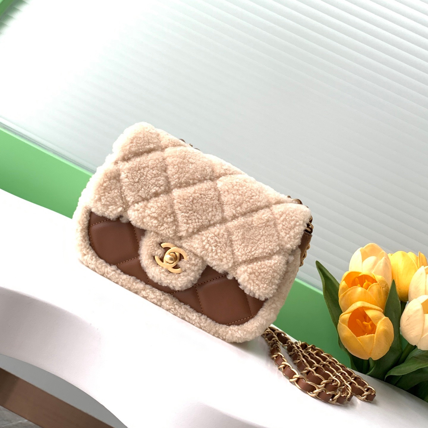 Chanel AS5148 Women Shoulder Bags 12*18*6cm