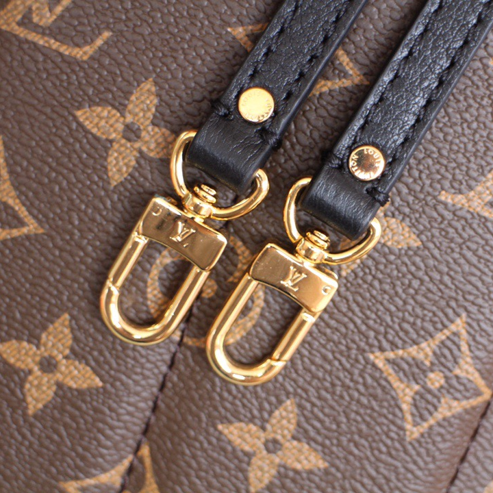 Louis Vuitton M44871 M44873 M44874 Palm Springs Backpack 3 Size