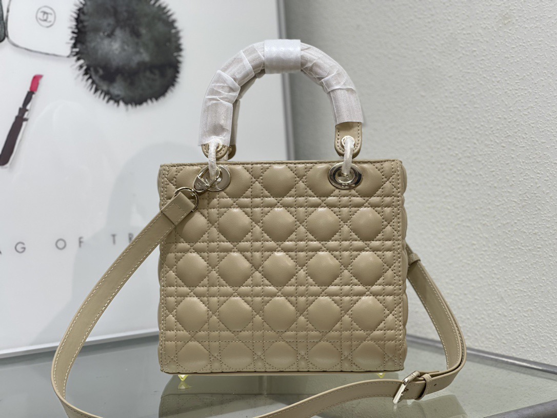 Dior Lady Women Shoulder Bags 24*20*11cm