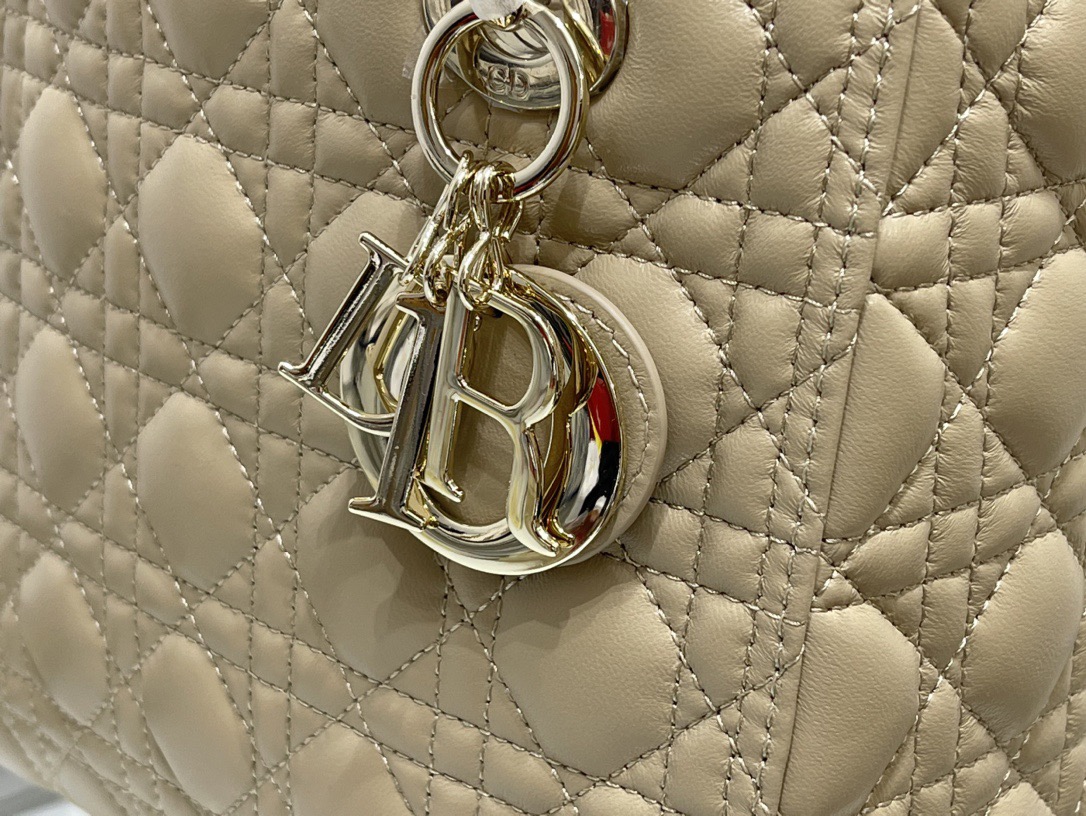 Dior Lady Women Shoulder Bags 24*20*11cm